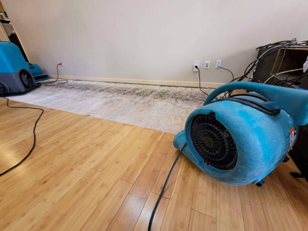 Professional Emergency Water Damage technician working in Freeport, ME